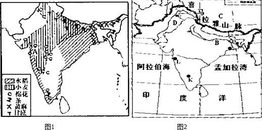 读印度图回答下列问题.(1)填写数字代表的海域名称:①____，②____.(2)印度以____气候为主，每年6-9月为雨季，风主要由____吹向____(填海洋或陆地)这时盛行____季风(风向).(3)印度主要的两种经济作物是____和____，A____是印度最大的____工业中心，B____是印度最大的____工业中心.D地区是以____(城市)为中心的新兴工业区，在高科技领域取得一定的成就.A、B、C三地中____是印度的首都____.(4)印度主要地形:1____山脉、2____平原、3____高原.(5)如果我国有一些青年人到印度去学习科学技术，这种技术可能是指____.A陶瓷制作B毛皮服装生产 C海水淡化D计算机软件生产.-乐乐题库