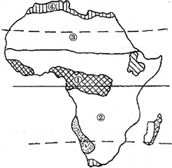 热带雨林气候终年高温多雨,所以植被茂盛,生活
