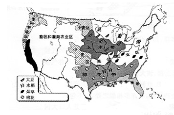 读美国农业带的分布图，结合相关知识，回答以下小题。1.图5中农业带的形成，体现了美国农业生产的显著特点是A.高度机械化 B.地区生产专业化 C.生产过程自动化2.五大湖附近地区，城市和人口密集;气候冷湿，适宜牧草生长。其农业带是A.棉花带 B.玉米带 C.乳畜带-乐乐题库