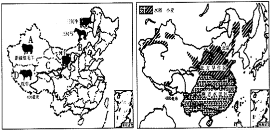 根据所学过的知识,填写我国北方地区和南方地