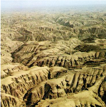 阅读图文资料,回答下列问题。资料一塔里木河