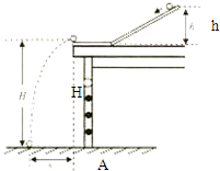 (2014雁江区模拟)小明和小亮在学校的乒乓球台