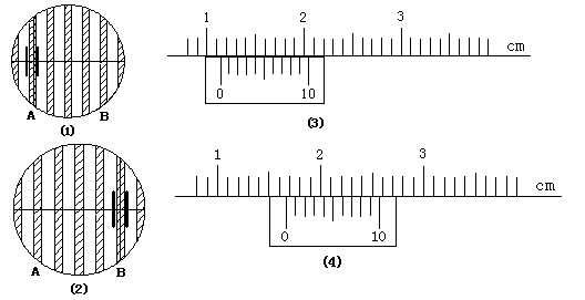 实验.实验中将一束太阳光投射到玻璃三棱镜上