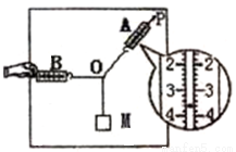 某同学在家中尝试验证平行四边形定则,他找到