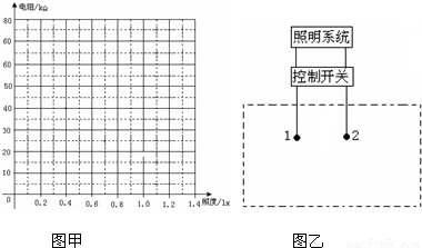 某同学在家中尝试验证平行四边形定则,他找到