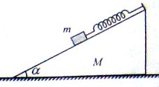 如图所示,质量为m的物体放在弹簧上,在竖直方