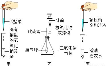 同学们在学习碱的化学性质时,进行了如图所示