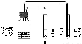 某同学设计实验方案证明鸡蛋壳的主要成分是