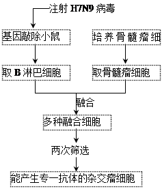 班级组织全班学生利用暑假开展某种单基因遗传
