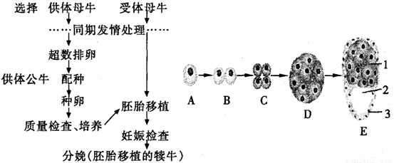 下图是利用现代生物工程技术治疗遗传性糖尿病