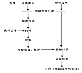 以下不属于胚胎工程范畴的是_ A.移植胚胎干细