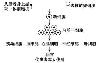 读下面的资料,请回答下列问题: 体外受精技术是