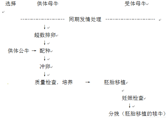 细胞,发现皮肤细胞可转化为iPS细胞。资料2: 2