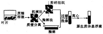 根据单克隆抗体制备流程示意图判断以下选项中正确的是