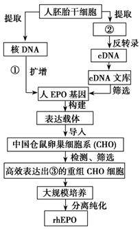 尔·赞加尼教授领导的研究小组用了7年时间培