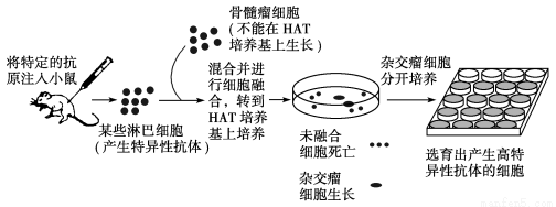 研究表明,广泛存在于植物细胞中的原花青素有