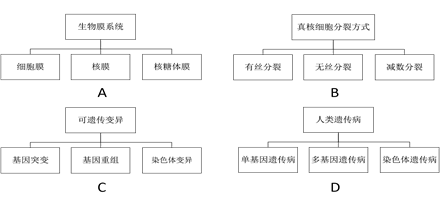 下图为某二倍体高等动物细胞示意图,其中a,b,c,d代表四条染体,其上_动物世界 经过分析,习题下图为某二倍体高等动物细胞示意图,其中A、B、C、D代表四条染体,其上分别有基因R、r、M、m,请据图回答:(1)若图中细胞此时____(用文字作答)之间发生部分交换,就可能导致控制不同性状的基因发生重新组合。(2)若图中A为X染色体,而且该细胞最后形成的子细胞中含XX,可能的原因有____、____,由此产生的相应子细胞异常的概率分别为____、____。(3)该动物的体细胞中染色体最多为____条,染色体组数最多分为____组。若该动物的体细胞分裂得到的子细胞中出现Rrmm的基因型,可能