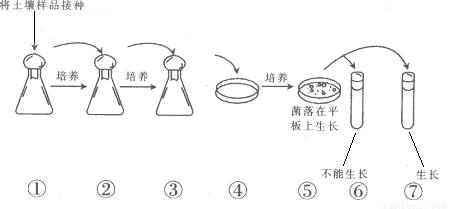 ⑥与⑦培养基的主要区别在于_;使用_法可以在