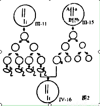 微生物强化采油(MEOR)是利用某些微生物能降