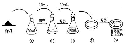 生物柴油是一种可再生的清洁能源,其应用在一