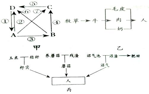 115.I.请回答下列与高中生物实验有关的内容。 (1)将发芽小麦种子的研磨液置于试管中,加入现配的斐林试剂加热至沸腾,试管中出现砖红色沉淀。说明发芽的小麦种子中含有 。 (2)在盛有10mL 3%过氧化氢溶液的试管中,加入新鲜的发芽小麦种子研磨液时,试管中有大量气泡生成,将点燃的卫生香插入试管,火焰变得明亮,这一实验证明发芽的小麦种子中含有 。 (3)利用小麦叶片进行叶绿体色素提取与分离实验,层析时在滤纸条上扩散速度最快的色素是 。 (4)为了研究小麦染色体数目.大小和形态特征,应以显微镜观察并计数小