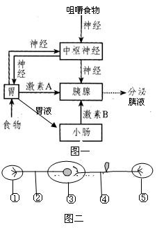 人和高等动物的体液调节知识点 "下列有关激素的叙述错误的是____.