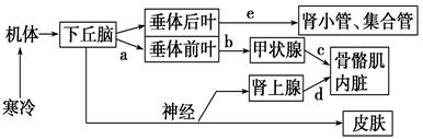 关于人体内水和无机盐平衡调节的叙述中,正确的是