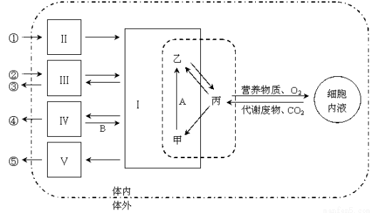 如图为正常人体内组织细胞与内环境之间物质交换的示意图,其中①②③