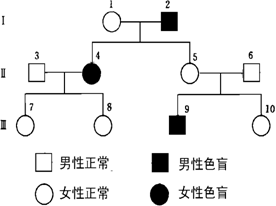 "如图为某家族红绿色盲的遗传图解,图中除男."习题详情