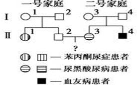分析下图所示的遗传系谱图,苯丙酮尿症,尿黑酸尿病,血友病的基因分别