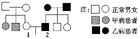 甲病不可能是伴x染色体隐性遗传病 b. 乙病是伴x染色体显性遗传病 c.