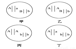 英国科学家古德费罗等人在男性的Y染色体末端