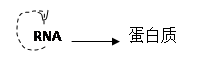 (6分)中心法则揭示了生物遗传信息由DNA向蛋