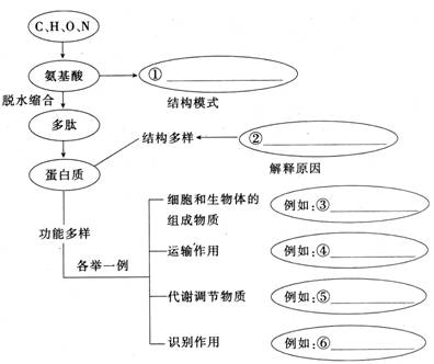 蛋白质分子是一种高分子有机化合物,是生命活