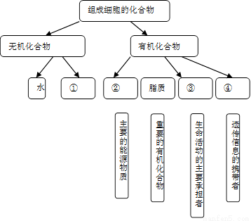 完成下面有关组成细胞主要化合物的概念图
