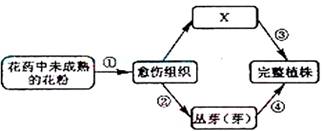 生物组织中还原糖、脂肪和蛋白质的鉴定实验中