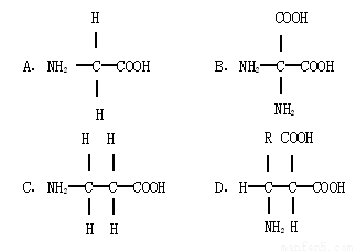 下列分子式属于组成生物体蛋白质的氨基酸是: