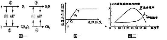 下图是某植物叶肉细胞中光合作用与呼吸作用之间的关系图,其中a～e