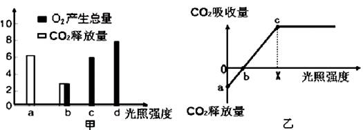 图甲表示植物在不同光照强度下单位时间内CO