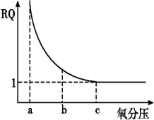 呼吸熵(RQ=放出的CO2量\/吸收的O2量)可作为