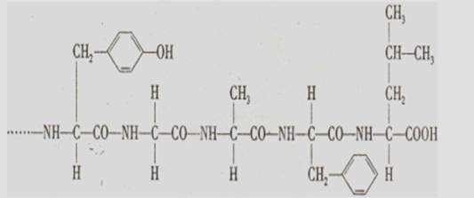 (10分)血液中的脂质称为血脂,它的主要成分是胆