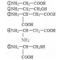 双缩脲试剂鉴定蛋白质的原理是蛋白质中的肽键