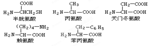 某蛋白质分子由四条肽链组成,共657个氨基酸,请回答