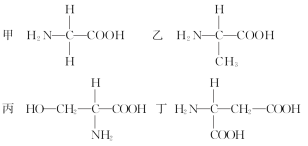 如图是四种构成蛋白质的氨基酸的结构式,下列