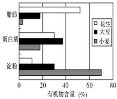 正确的_选 项待检测的物质使用试剂呈现颜色A