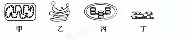 如图，点p是线段ab的黄金分割点_如图,点p是△abc_如图,是一个小型电风扇点路简图
