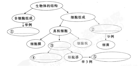 高等动物细胞结构图手绘图_动物世界 经过分析,习题(6分)下图甲、乙分别是两类高等生物细胞的亚显微结构模式图。请据图回答:(1)如果将这两种细胞分别放入蒸馏水中,甲细胞的变化是_________,乙细胞的变化是________。(2)如果用某种药物处理细胞乙,发现对Ca2+的吸收速率大大降低,而对其他物质的吸收速率没有影响,说明这种药物的作用是____。(3)甲图中产生ATP的场所是____(填编号)。(4)如果乙图所示的细胞是豚鼠的胰腺腺泡细胞,提供含放射性同位素15N的氨基酸作为合成胰蛋白酶的原料,则15N依次出现的结构是_______