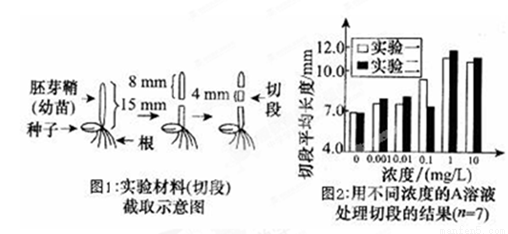 (10分)在v幼苗生长素类似物A对幼苗胚芽鞘(小麦168体重标准女生图片