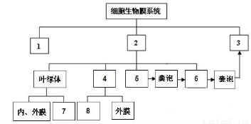 "习题详情  下图是细胞生物膜系统的概念图,下列对其叙述正确的是 2