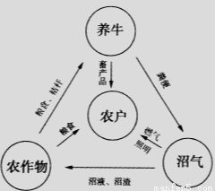武汉大学商学院现代物流中心副主任海峰认为: